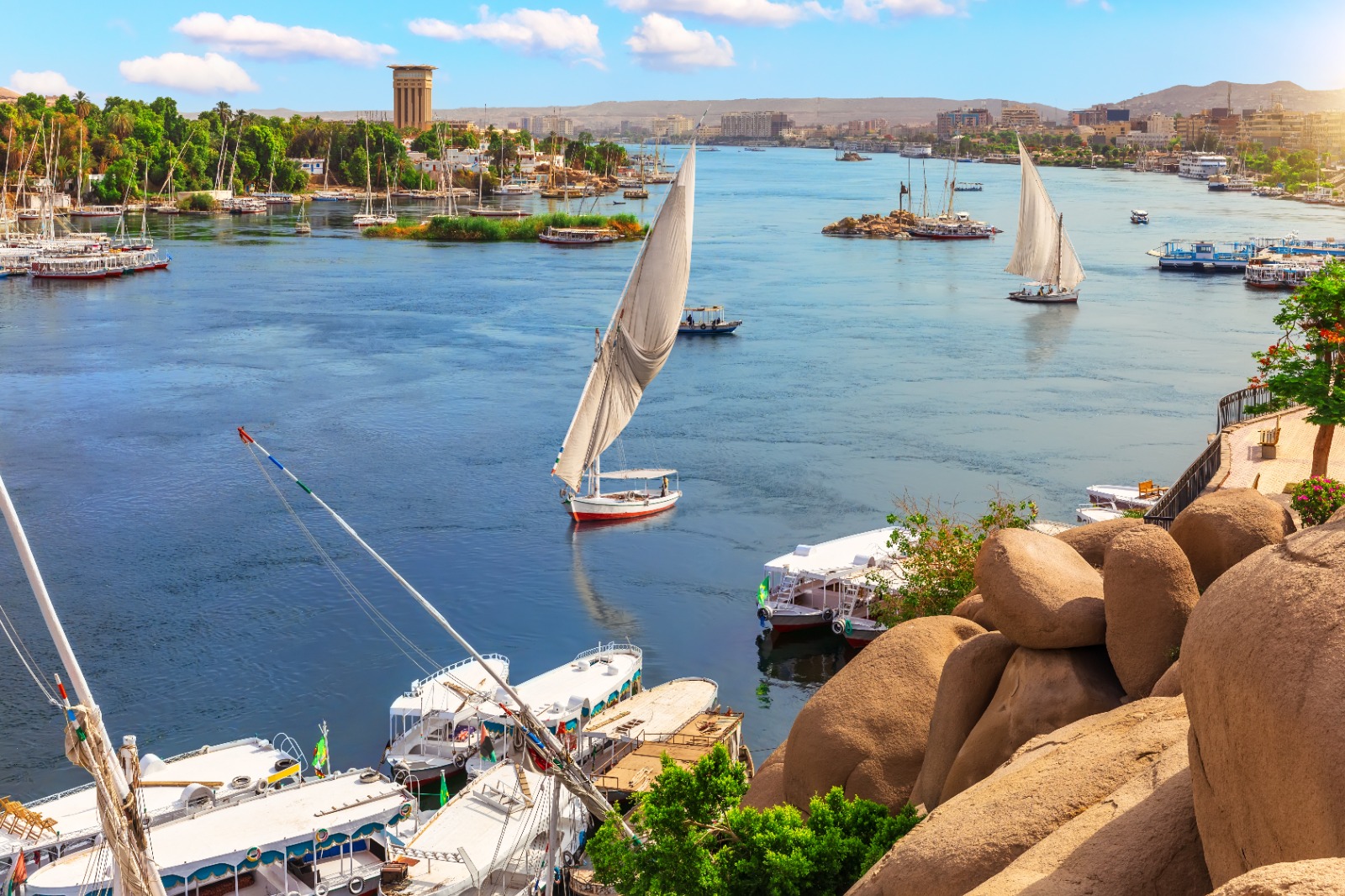 Best of Aswan and Edfu Temple Guided Tour with Nubian Lunch from Luxor