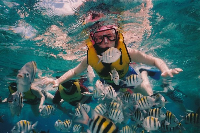 1-Day Hurghada Tour: Snorkeling at Mahmya Island