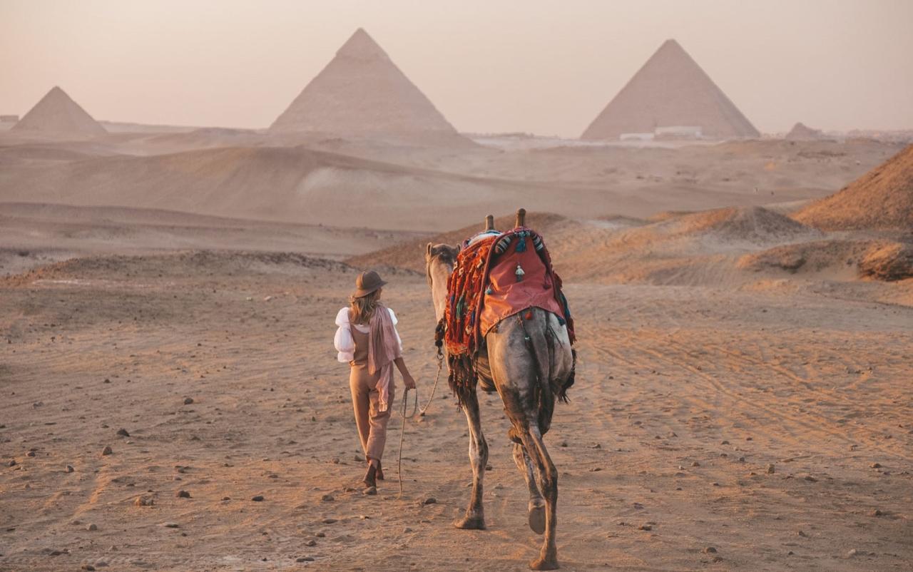 9-Day Tour Cairo, Luxor & Aswan | Sean Davis | 11 October 2026 | 6 Adults